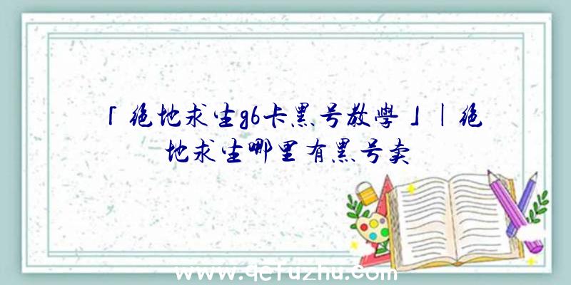 「绝地求生g6卡黑号教学」|绝地求生哪里有黑号卖